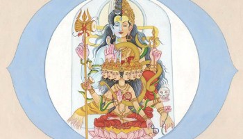 svadhisthana și erecție